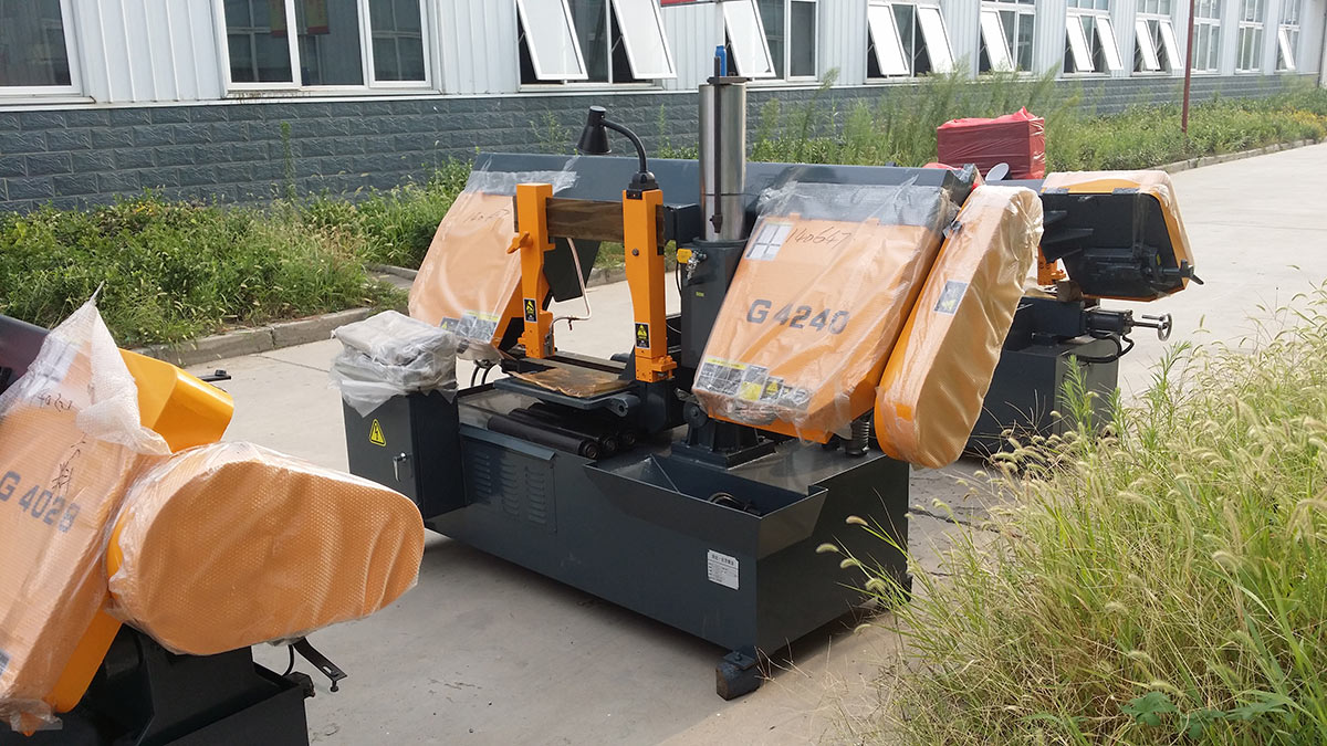 1734665545527216.jpg 03.jpg